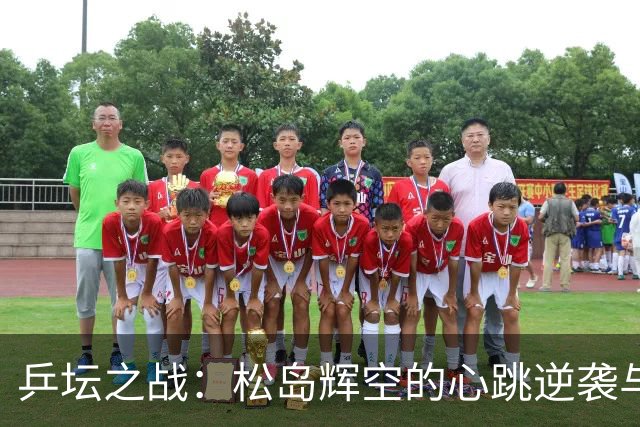 乒坛之战：松岛辉空的心跳逆袭与林昀儒的绝地反击