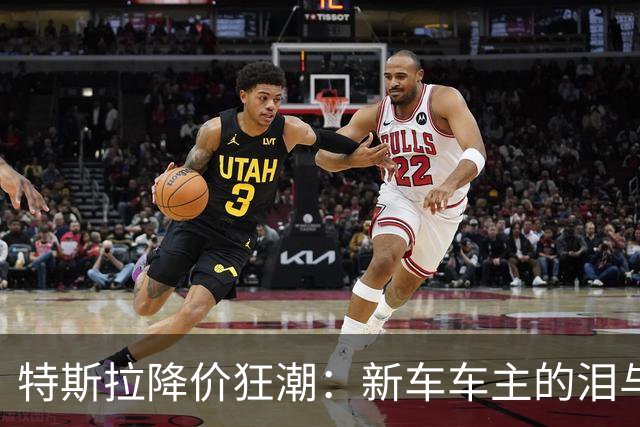 特斯拉降价狂潮：新车车主的泪与笑
